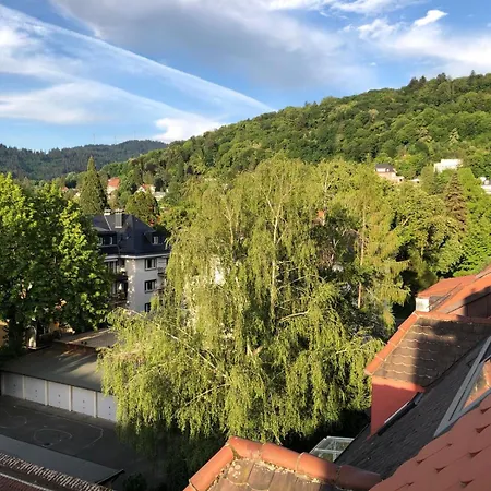 Dachzimmer Am Stadtgarten *